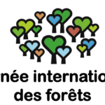Création de cartes de voeux : Journée Mondiale "de la forêt"